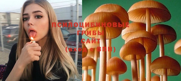 PSILOCYBIN Киреевск